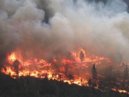 B.C. evacuation order rescinded but district says wildfire remains ‘volatile’