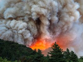 Smoke from Canada wildfires is increasing health risks in Black and poorer US communities