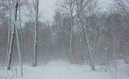 Thousands remain in the dark days after fierce storms knocked out power