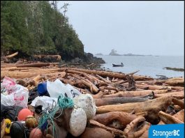 B.C.’s largest coastline cleanup gets major funding boost