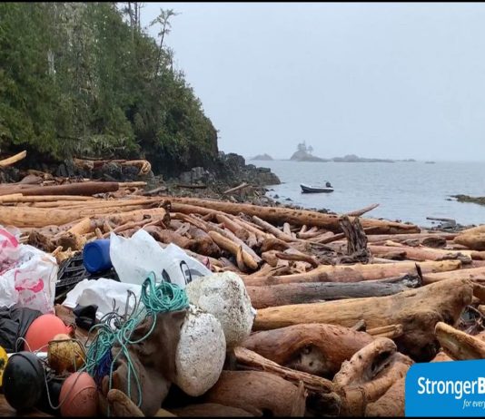 B.C.’s largest coastline cleanup gets major funding boost