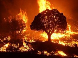 Poor air quality warnings issued in three provinces as number of fires increase