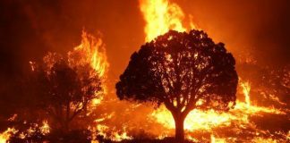 Poor air quality warnings issued in three provinces as number of fires increase