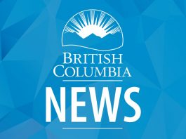 New Forest Operations Map portal supports transparency, engagement