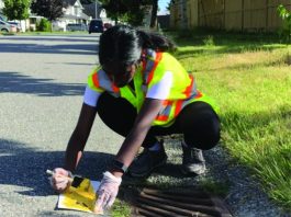 Help Protect Surrey Streams with the Stroke of a Brush