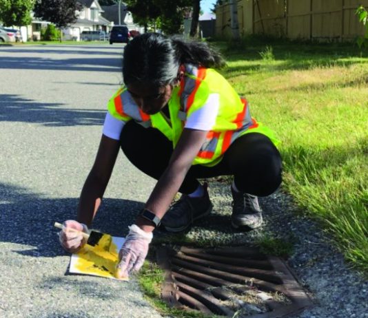 Help Protect Surrey Streams with the Stroke of a Brush