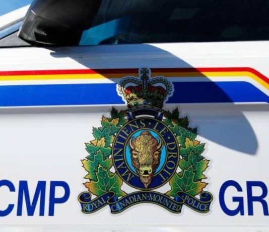 Surrey RCMP caution public of a bear sighting in Newton