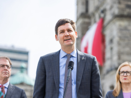 Province takes action to improve wildfire resiliency, enhance forest stewardship