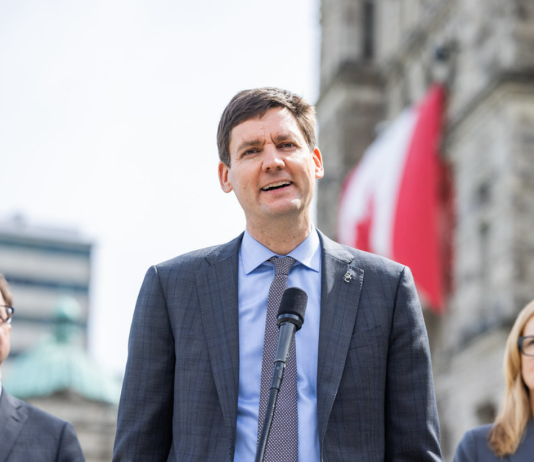 Province takes action to improve wildfire resiliency, enhance forest stewardship
