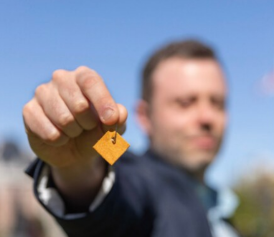 Premier’s, ministers’, parliamentary secretary’s statements on Moose Hide Campaign Day