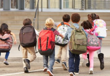 Province approves plan to rebuild Hazel Trembath Elementary