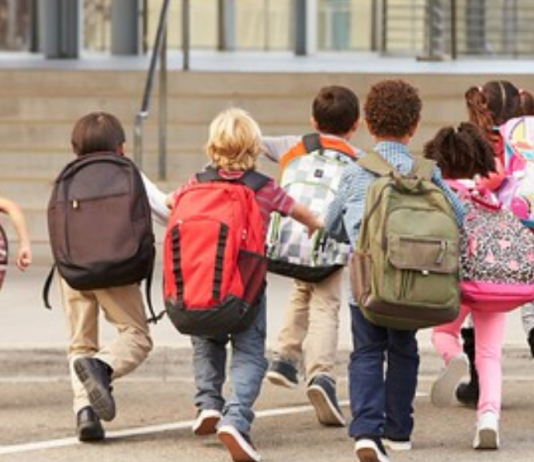 Province approves plan to rebuild Hazel Trembath Elementary