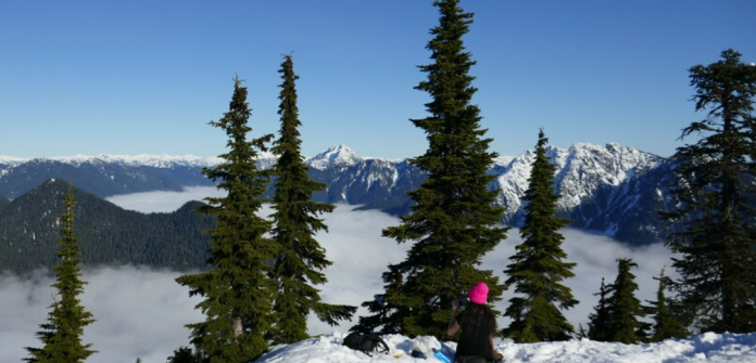 Screenshot 2025-11-25 154442