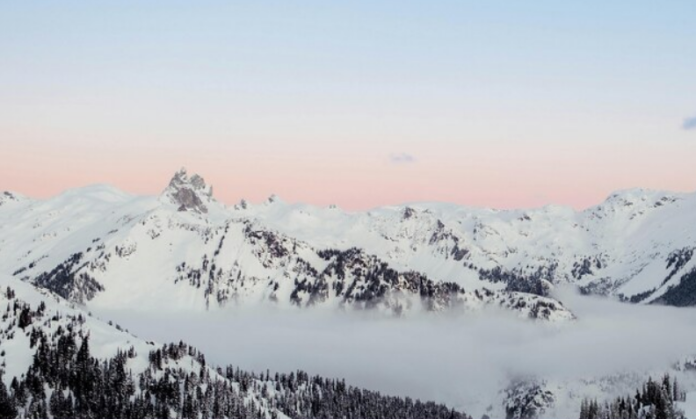 Screenshot 2025-12-14 012648