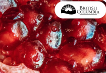 Premier’s statement on Yalda