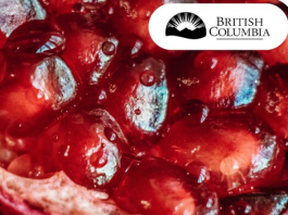 Premier’s statement on Yalda