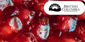 Premier’s statement on Yalda