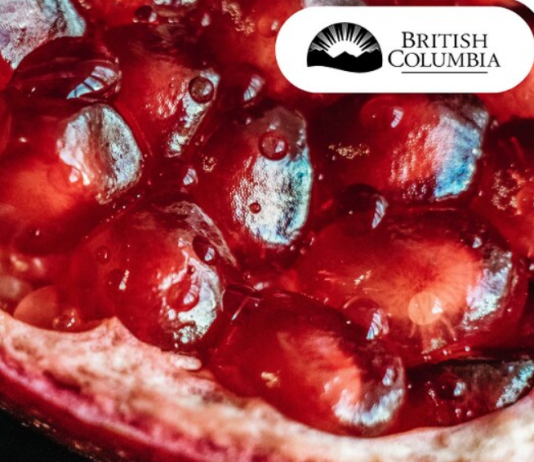 Premier’s statement on Yalda