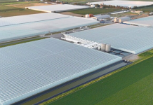 Supporting B.C.’s food security with new technology, training