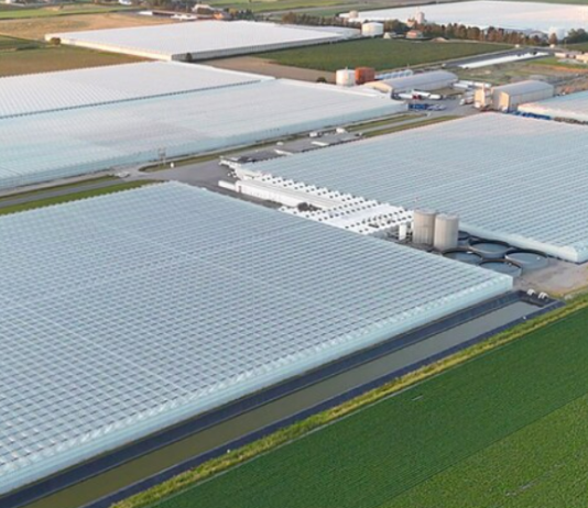 Supporting B.C.’s food security with new technology, training